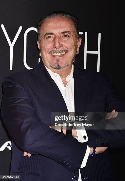 Of Alcantara S.p.A Andrea Boragno attends the premiere of Fox Searchlight Pictures' 'Youth' at DGA Theater on November 17, 2015 in Los Angeles,...