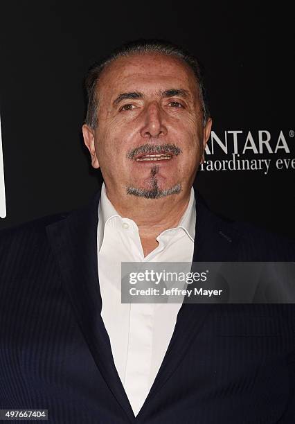 Of Alcantara S.p.A Andrea Boragno attends the premiere of Fox Searchlight Pictures' 'Youth' at DGA Theater on November 17, 2015 in Los Angeles,...