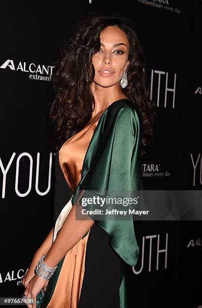 Actress Madalina Diana Ghenea attends the premiere of Fox Searchlight Pictures' 'Youth' at DGA Theater on November 17, 2015 in Los Angeles,...