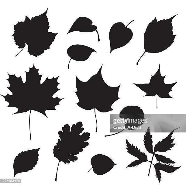 ilustraciones, imágenes clip art, dibujos animados e iconos de stock de hojas de los árboles - oak leaf