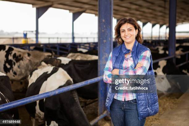 mujer joven agricultor - hereford cattle fotografías e imágenes de stock