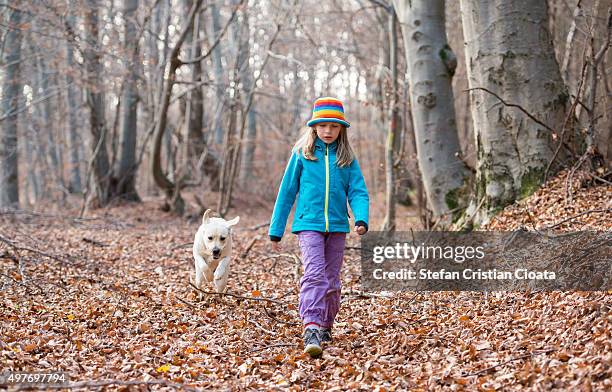 folower - dog following stock pictures, royalty-free photos & images