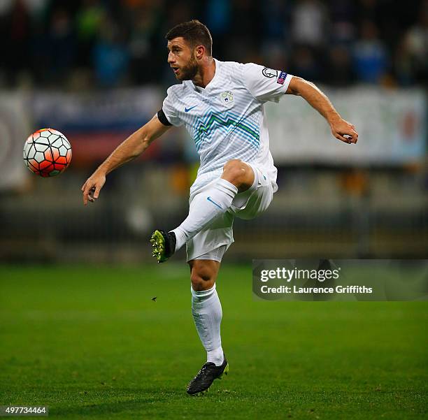 Bojan Jokic of Slovenia in action during the UEFA EURO 2016 qualifier play-off second leg match between Slovenia and Ukraine at Ljudski Vrt Stadium...