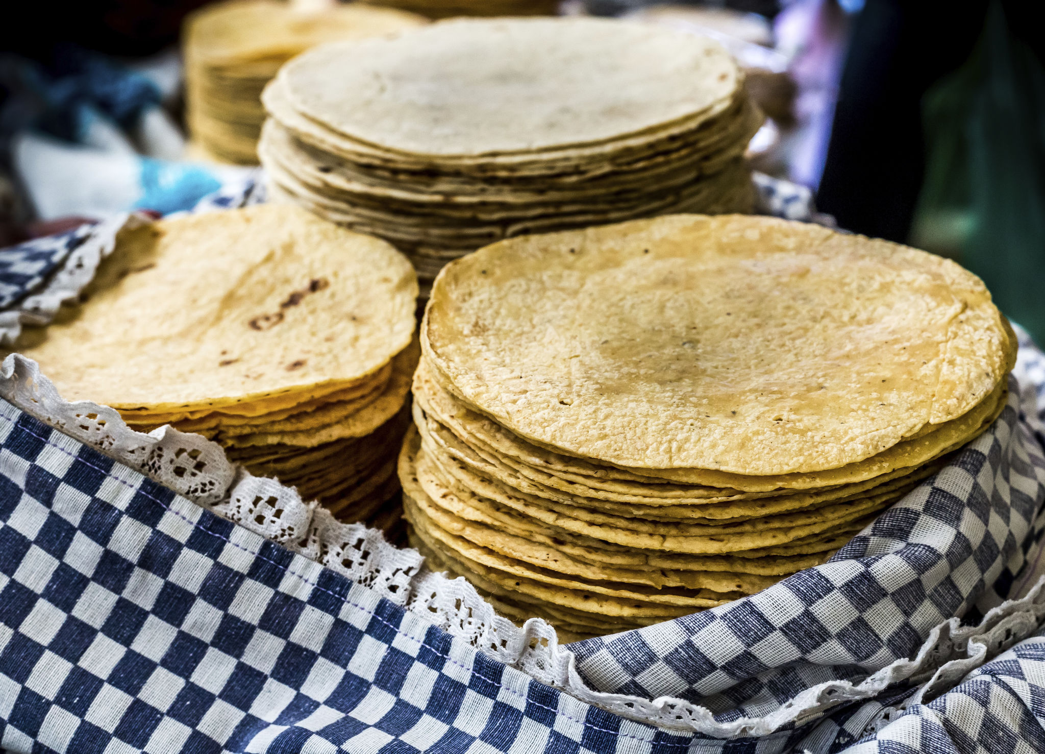 Tortilla Close-up Tortilla Close-up