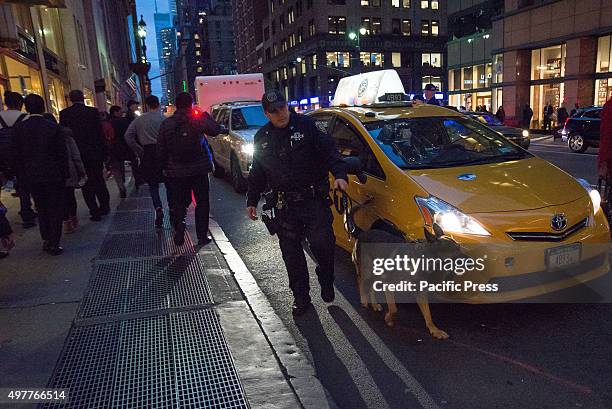 Officer and his dog inspect a tax cab randomly flagged for inspection on Lexington Avenue, outside Grand Central Terminal. Following the release of a...