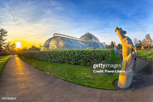 palm house at royal botanic gardens kew. - kew gardens conservatory stock pictures, royalty-free photos & images
