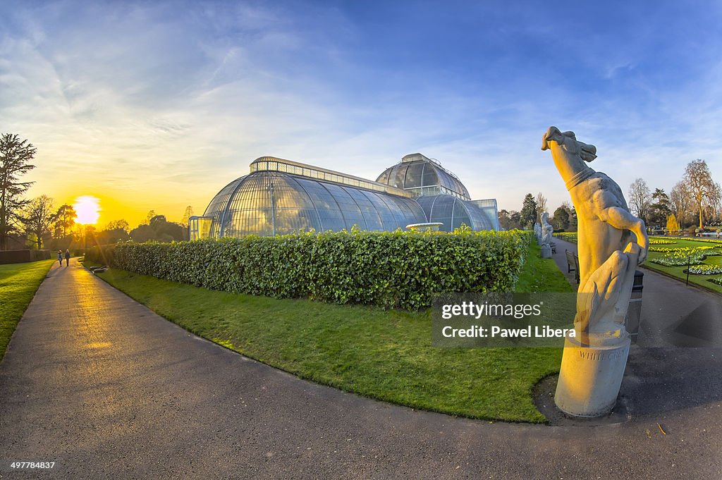 Palm House at Royal Botanic Gardens Kew.