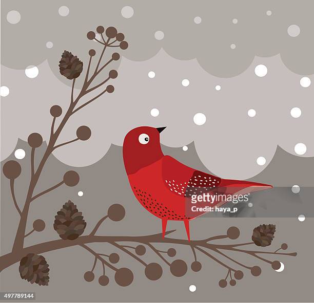 red bird in branch - blue cardinal bird stock-grafiken, -clipart, -cartoons und -symbole