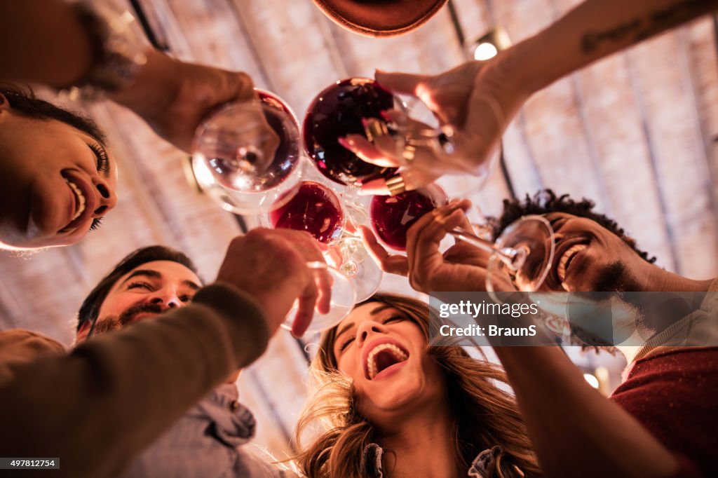 Ein Blick auf die Gruppe von Freunden anstoßen mit Wein.