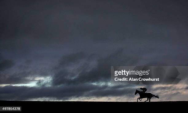 General view as a runner races down the back straight at Wincanton racecourse on November 19, 2015 in Wincanton, England.