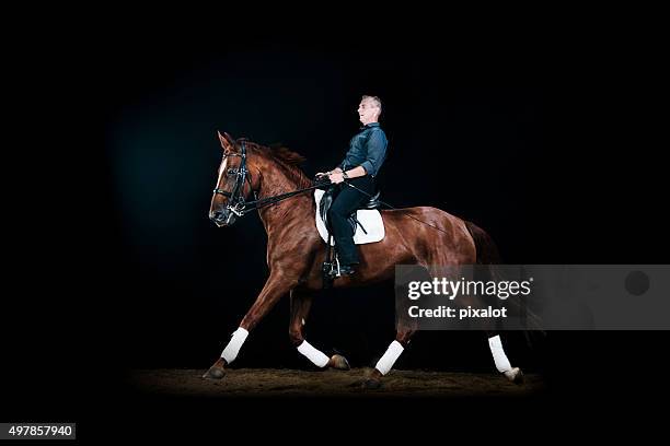 passeio a cavalo - dressage - fotografias e filmes do acervo