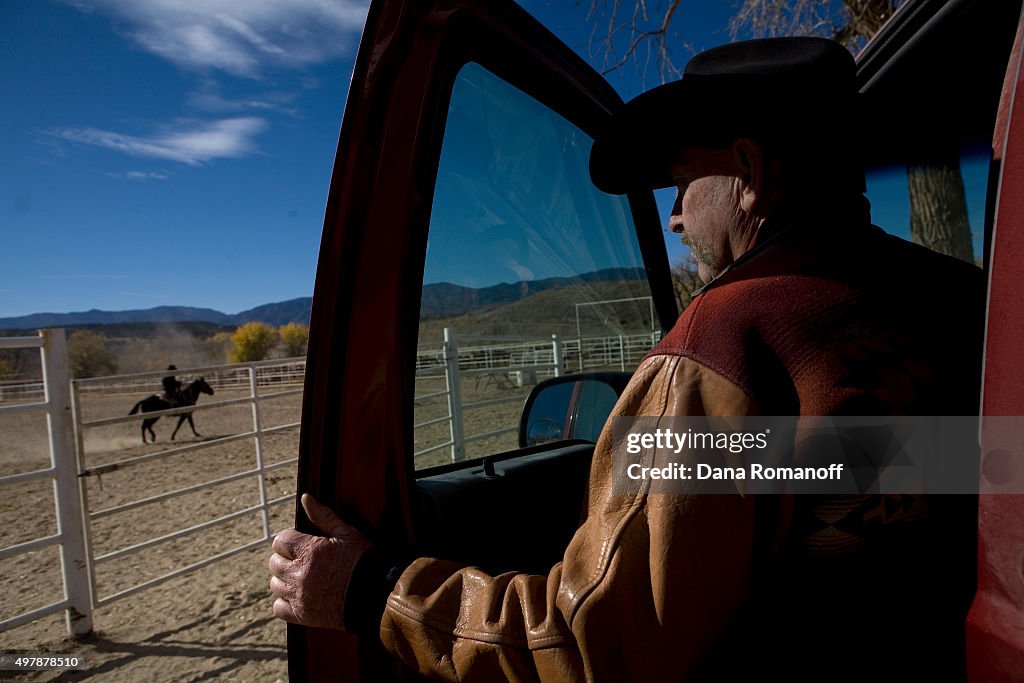 America's Wild Horses