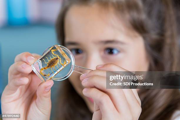 Bug Science Magnifying Magnifying Glass Insect Photos and Premium High Res Pictures - Getty Images
