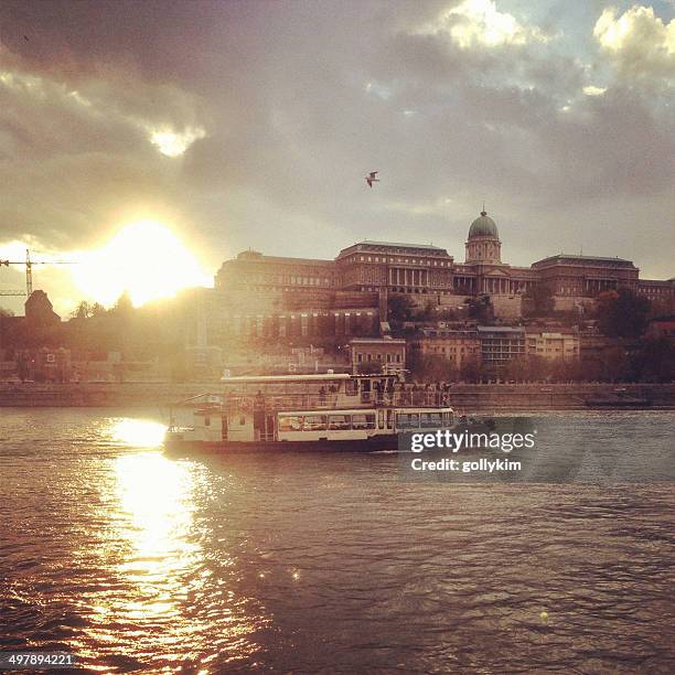 sunset river cruise at danube, budapest, hungary - royal palace budapest stock pictures, royalty-free photos & images