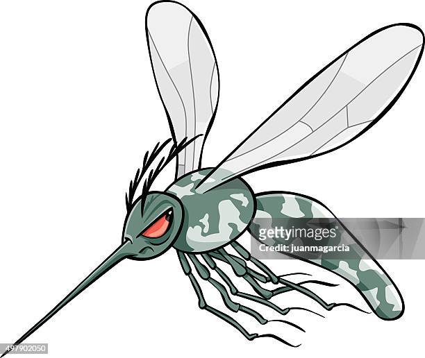 ilustraciones, imágenes clip art, dibujos animados e iconos de stock de mosquito tigre - mosquito