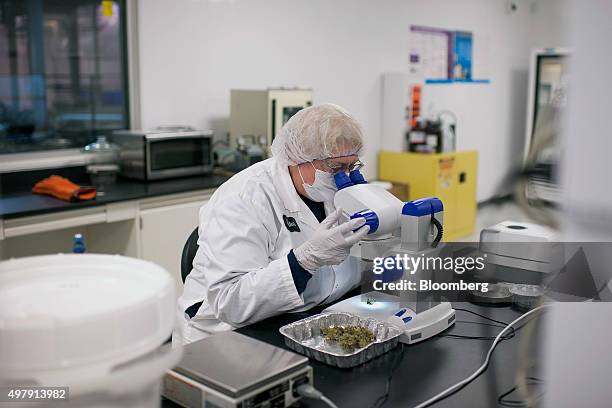 Medical Sample Inspection 1,493 Medical Lab Inspection Stock Photos, High-Res Pictures, and ...