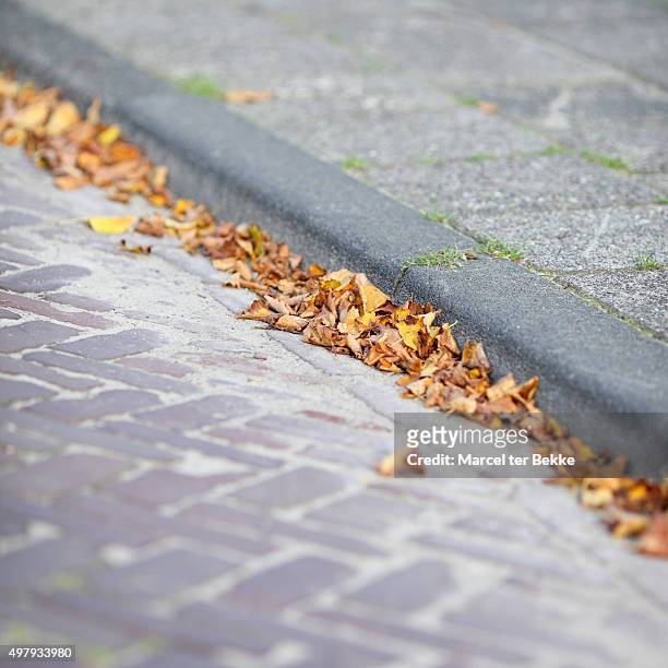 autumn leaves in the gutter - rinnstein stock-fotos und bilder