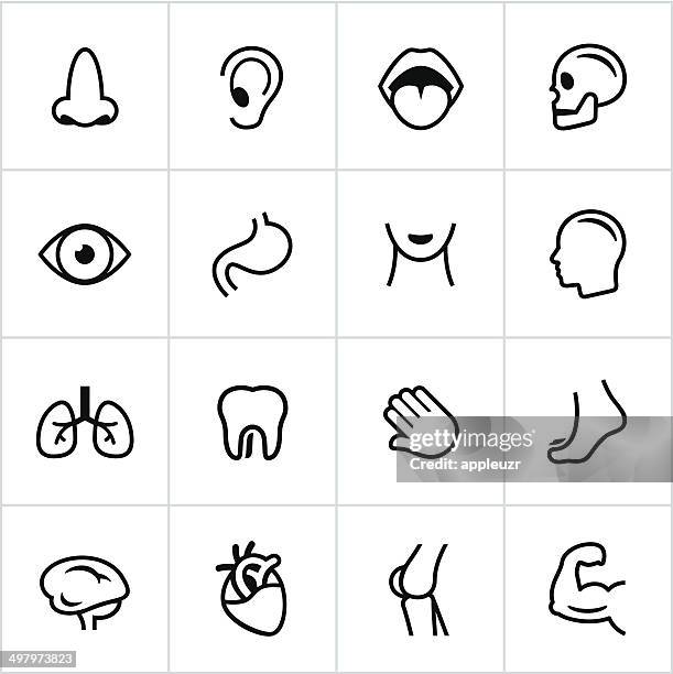 black human anatomy icons - line style - sensory perception stock illustrations