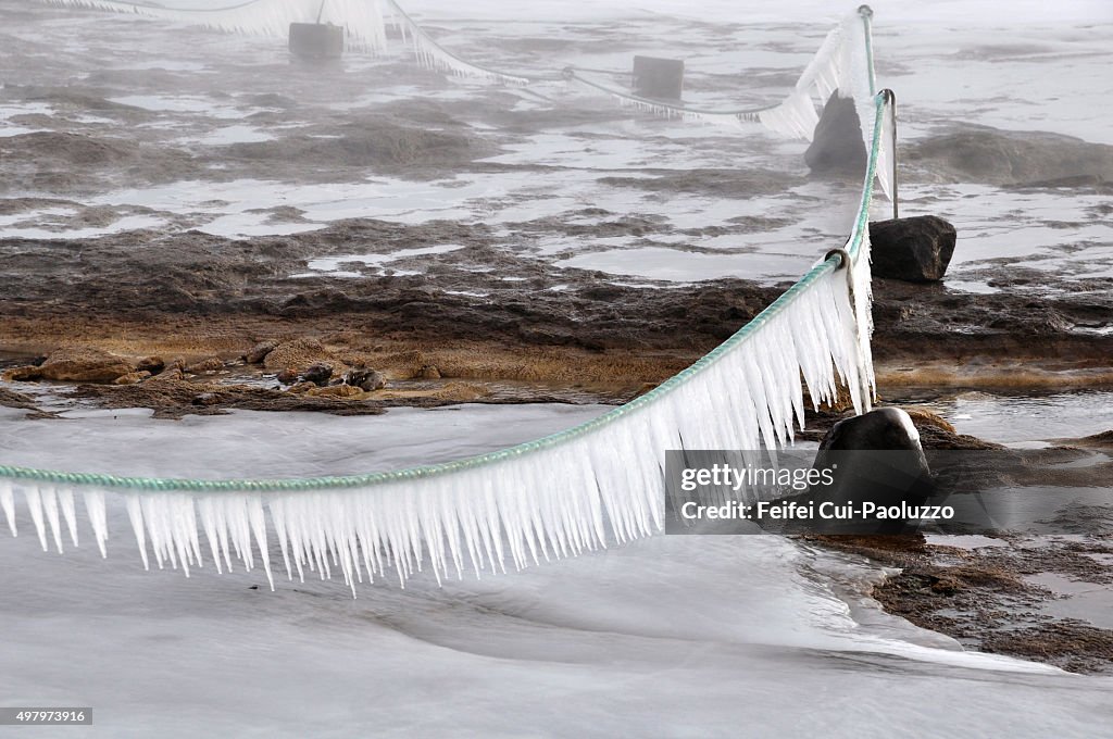 Ice Rime at Geysir Southwestern Iceland