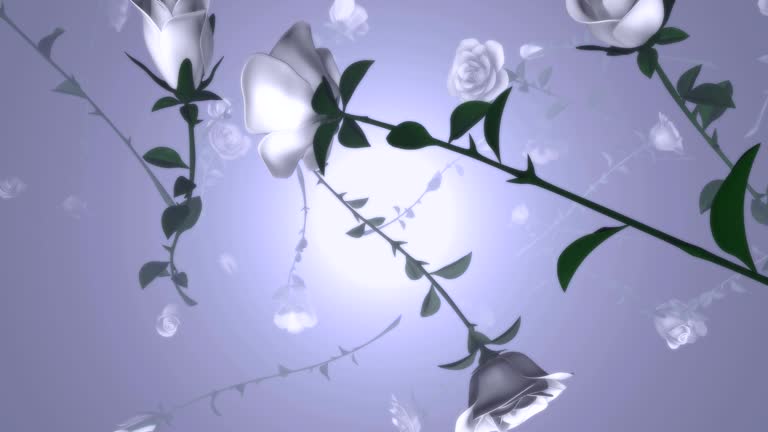 Falling Roses Cartoon Animated Roses Videos and HD Footage - Getty Images