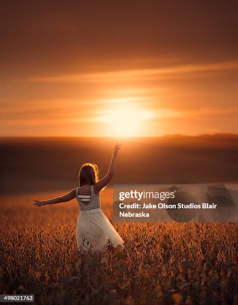 sunset in nebraska - jake olson stock pictures, royalty-free photos & images