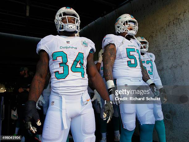 Damien Williams, Mike Pouncey and Jelani Jenkins of the Miami Dolphins walk out of the tunnel before a football game against the Philadelphia Eagles...