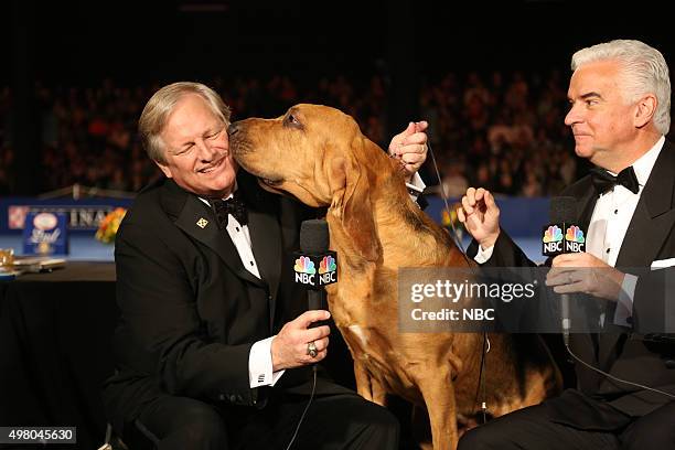 Pictured: Host David Frei, 2014 winner Nathan the bloodhound, host John O'Hurley --