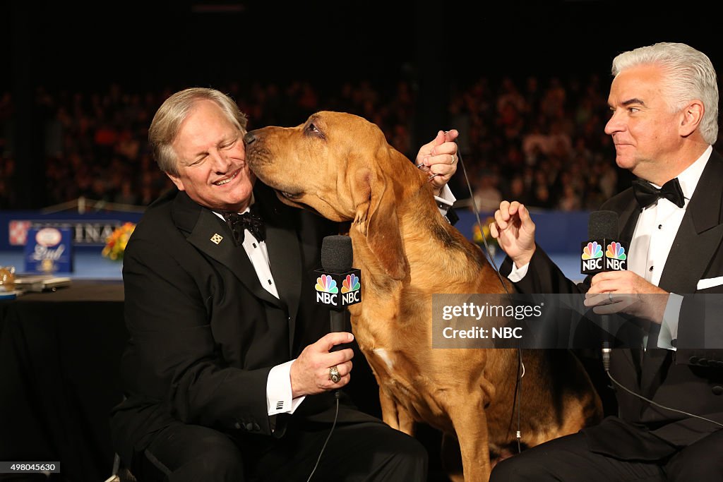 The National Dog Show Presented by Purina - 2015