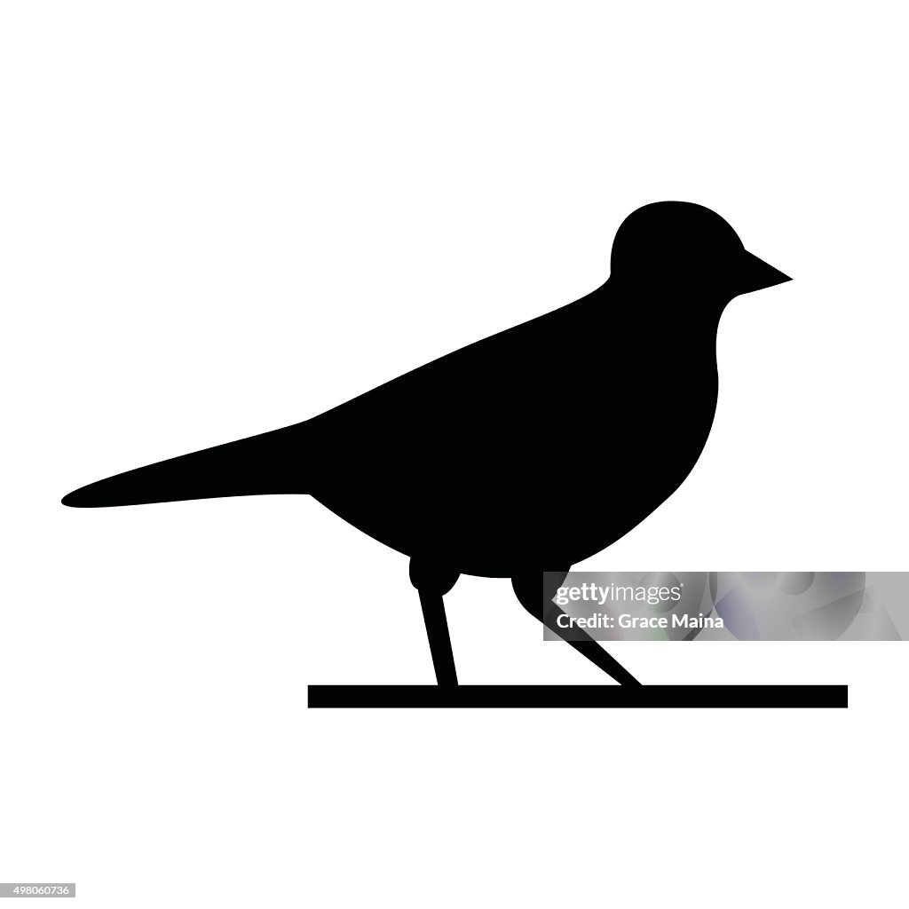 Bird walking - VECTOR