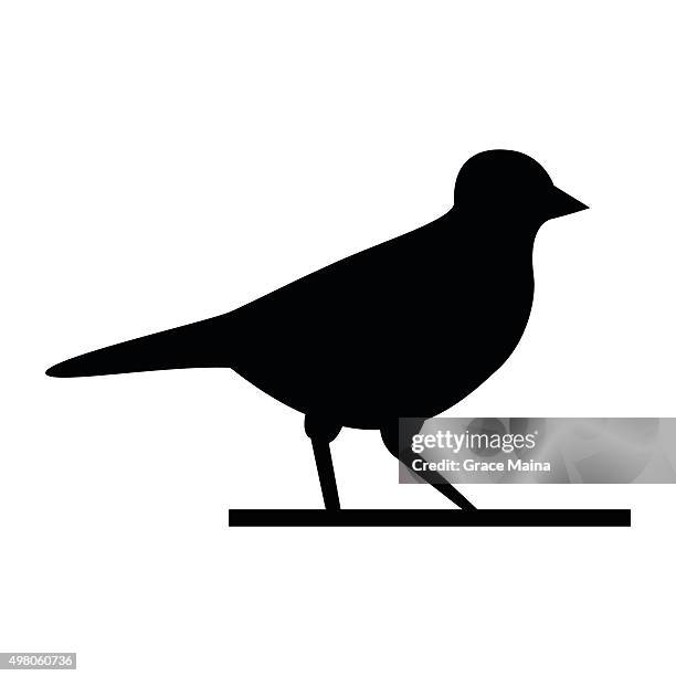 bird walking  - vector - canary bird stock illustrations