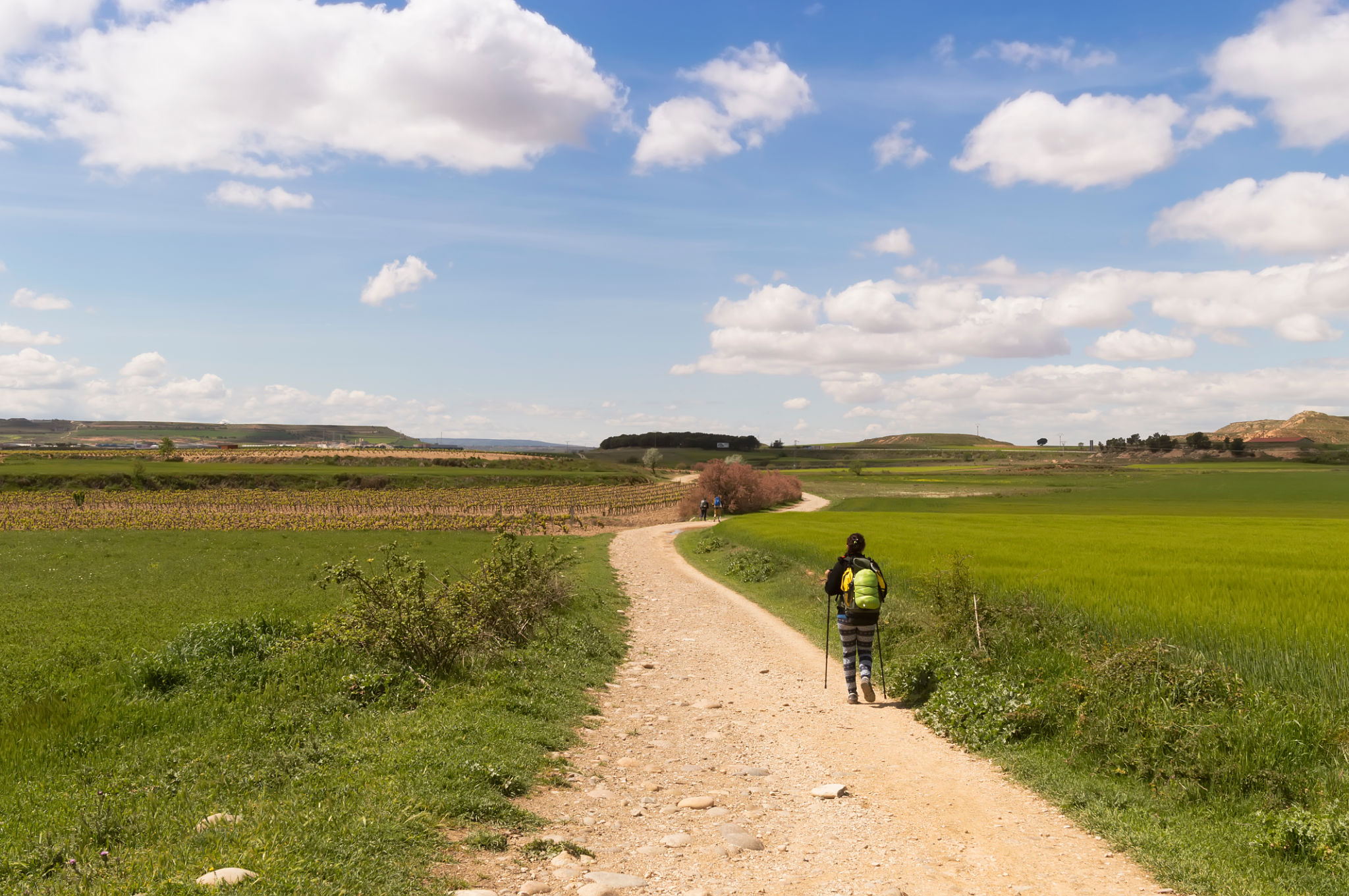 Pilgrim on the road to Santiago de Compostela in Burgos Pilgrim on the road to Santiago de Compostela in Burgos