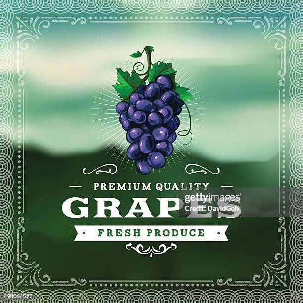 f&b labels - grapes - grape stock illustrations