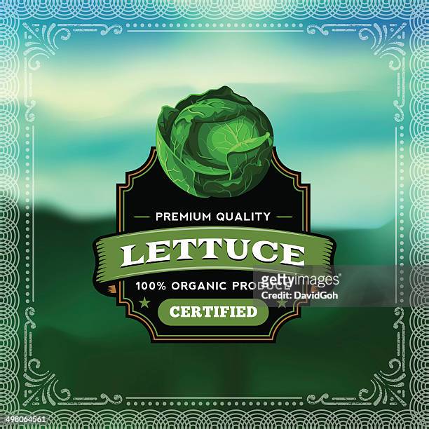 f&b labels - lettuce - lettuce texture stock illustrations