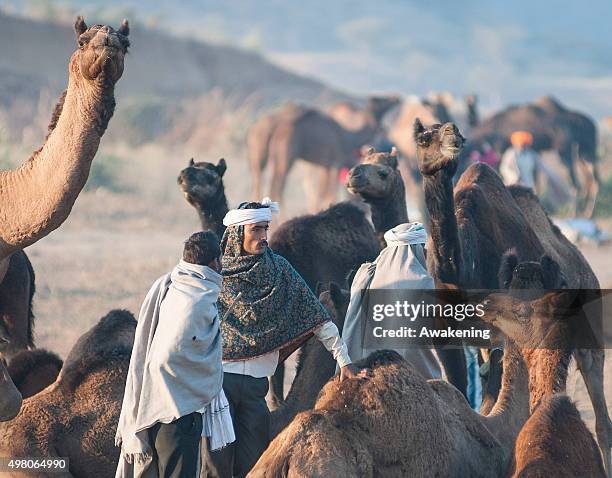 Two men talks in the middle of the campsize on November 20, 2015 in Pushkar, India. Held every year in November at the time of the full moon, Pushkar...