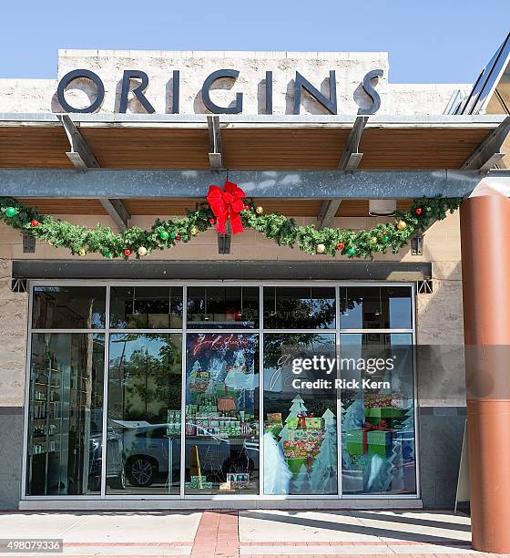 General view of atmosphere during the Origins new discovery store concept celebration on November 20, 2015 in Austin, Texas.