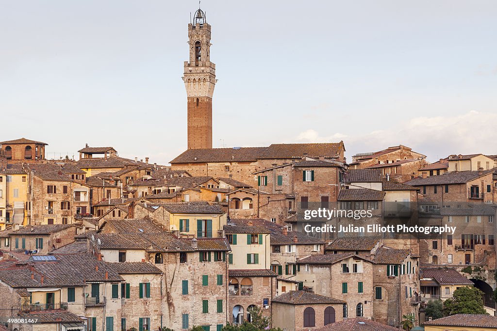 Torre del Mangia above the rooftops of Siena.