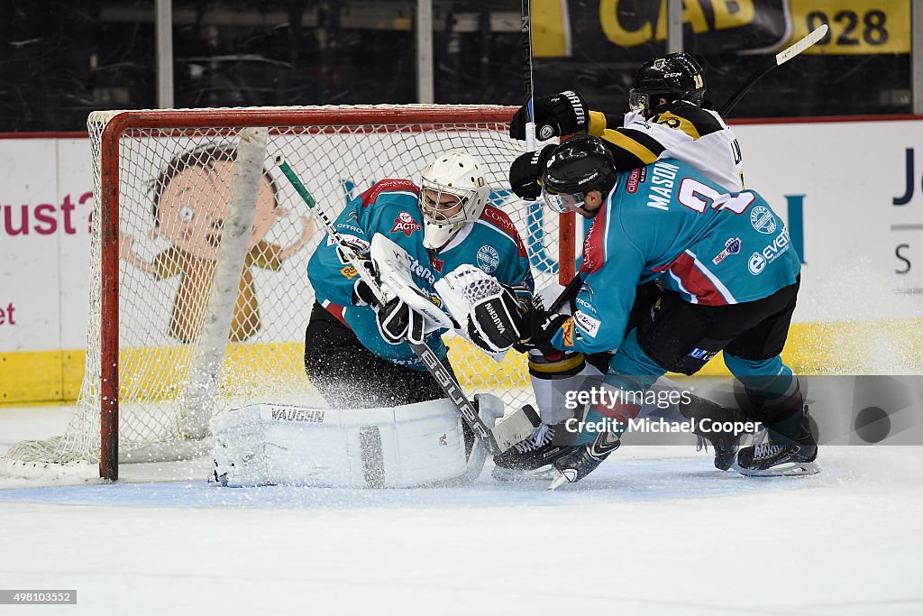 Belfast Giants Ice Hockey