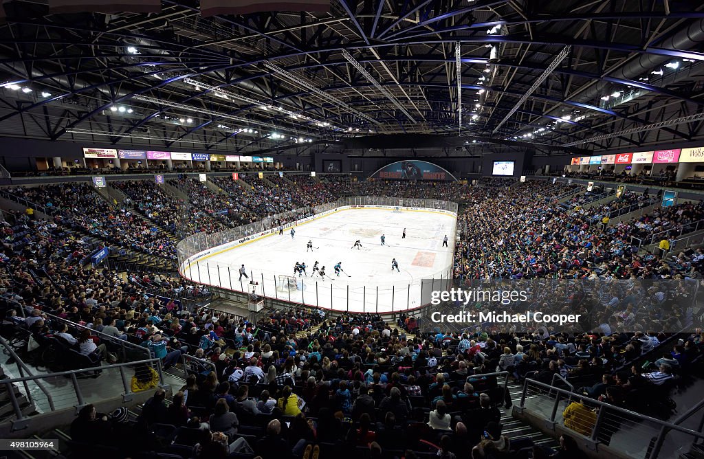 Belfast Giants Ice Hockey