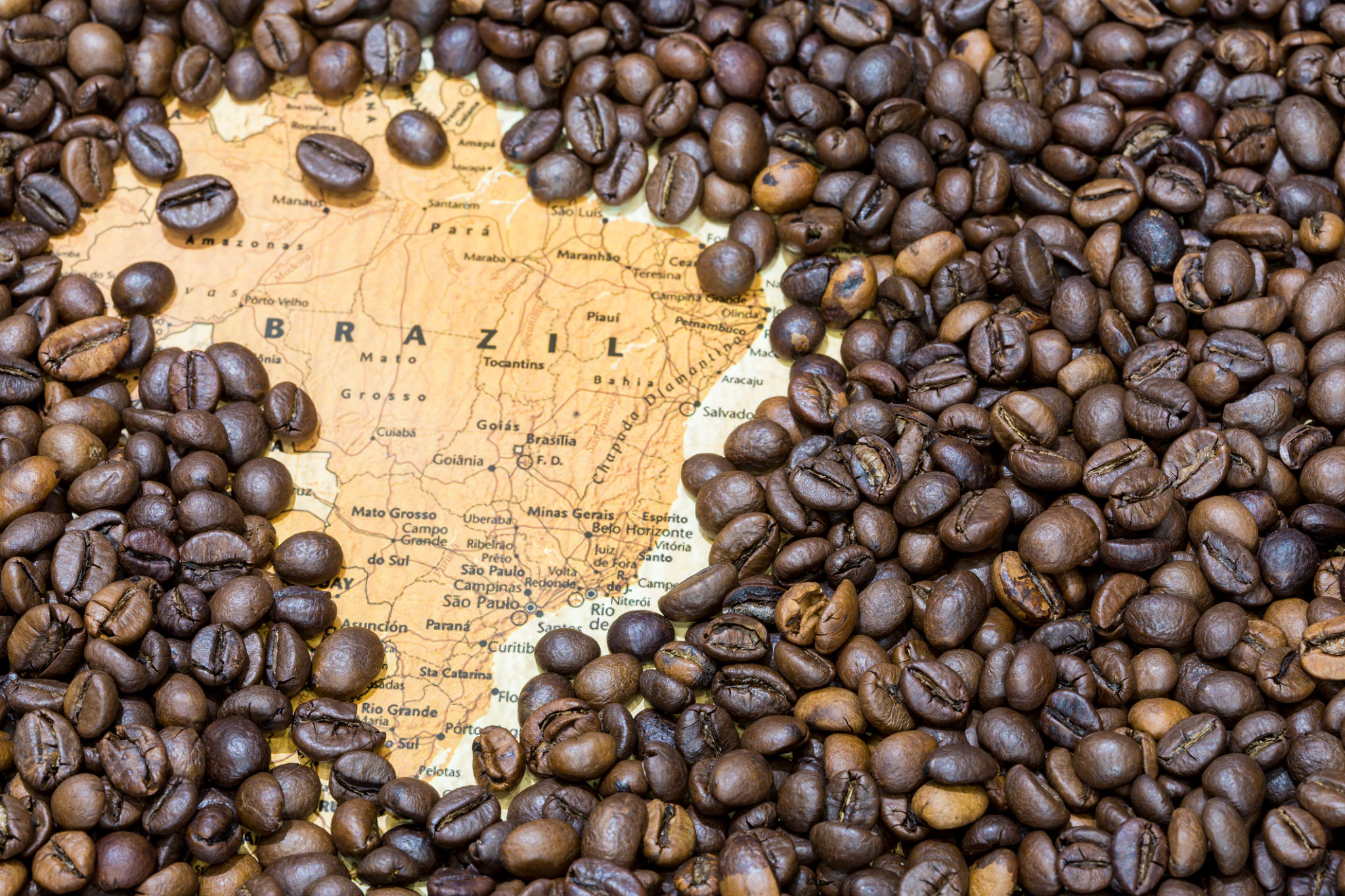 coffee beans import