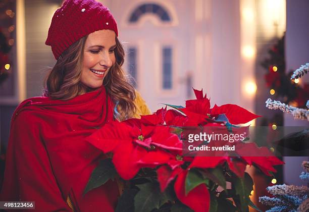 it's the season to be jolly. - poinsettia stock pictures, royalty-free photos & images
