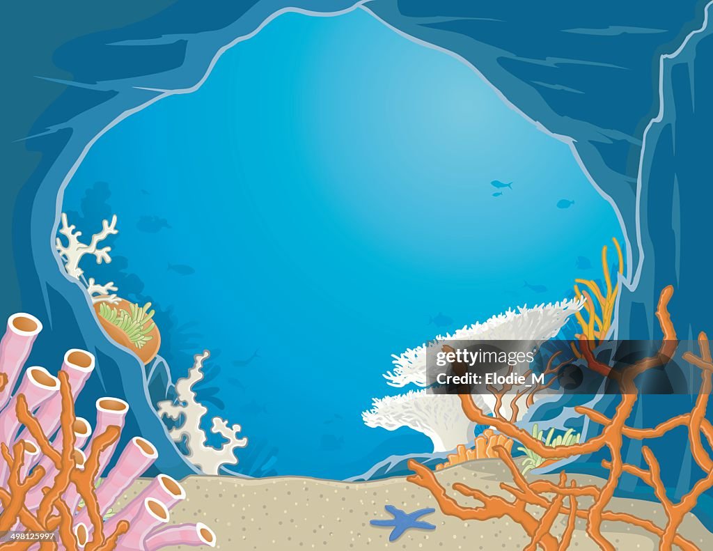 Underwater grotto / Grotte sous-marine