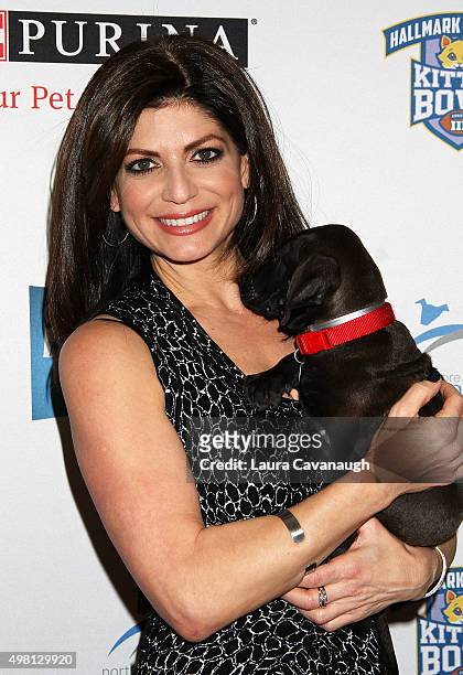 Tamsen Fadal attends the 2015 North Shore Animal League America Gala at The Pierre Hotel on November 20, 2015 in New York City.