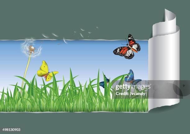 im frühling geöffnet - flowers busting open stock-grafiken, -clipart, -cartoons und -symbole