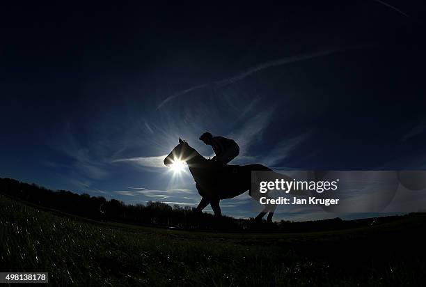 Runner and rider makes their way to the start at Haydock racecourse on November 21, 2015 in Haydock, England.