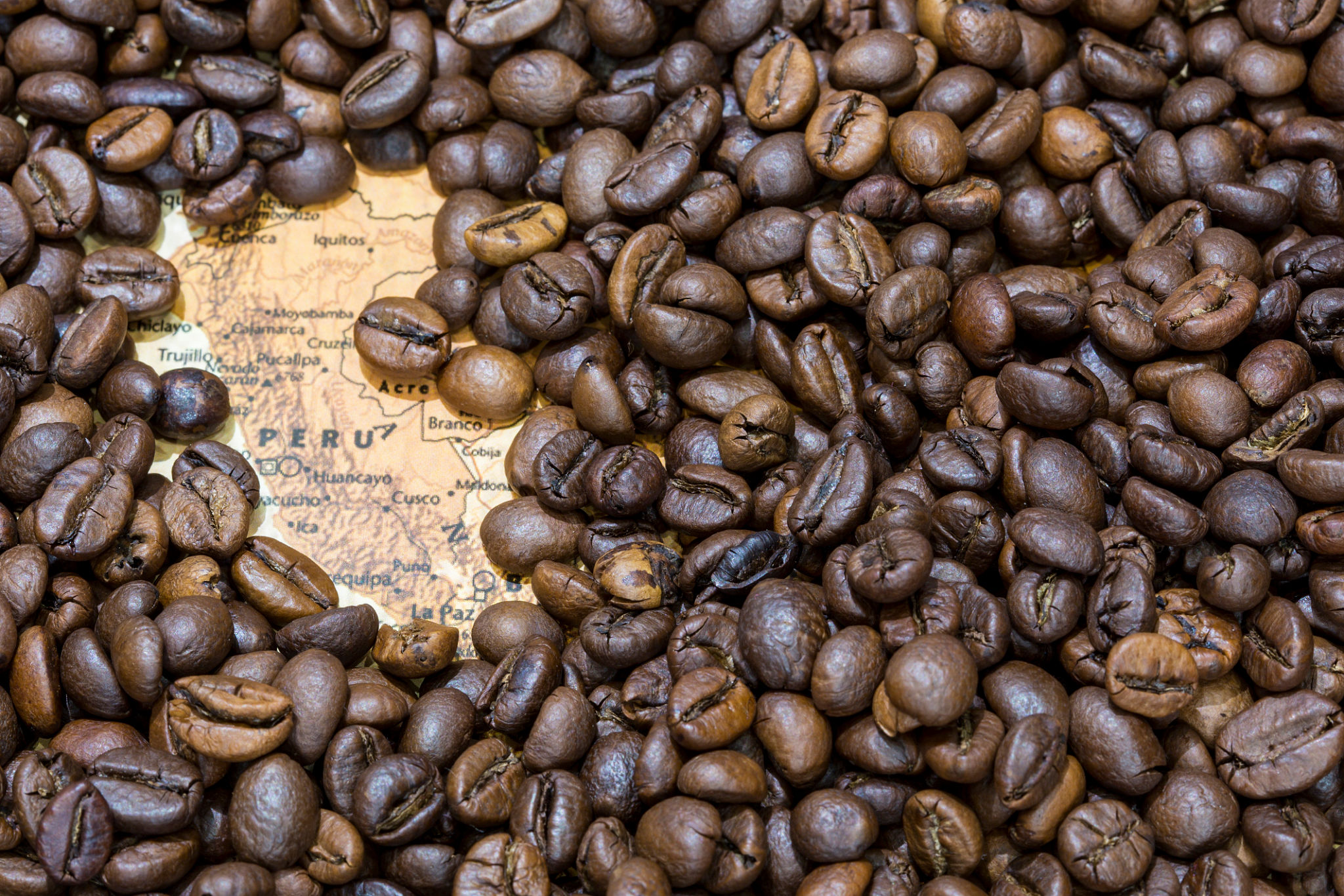 Peruvian coffee beans