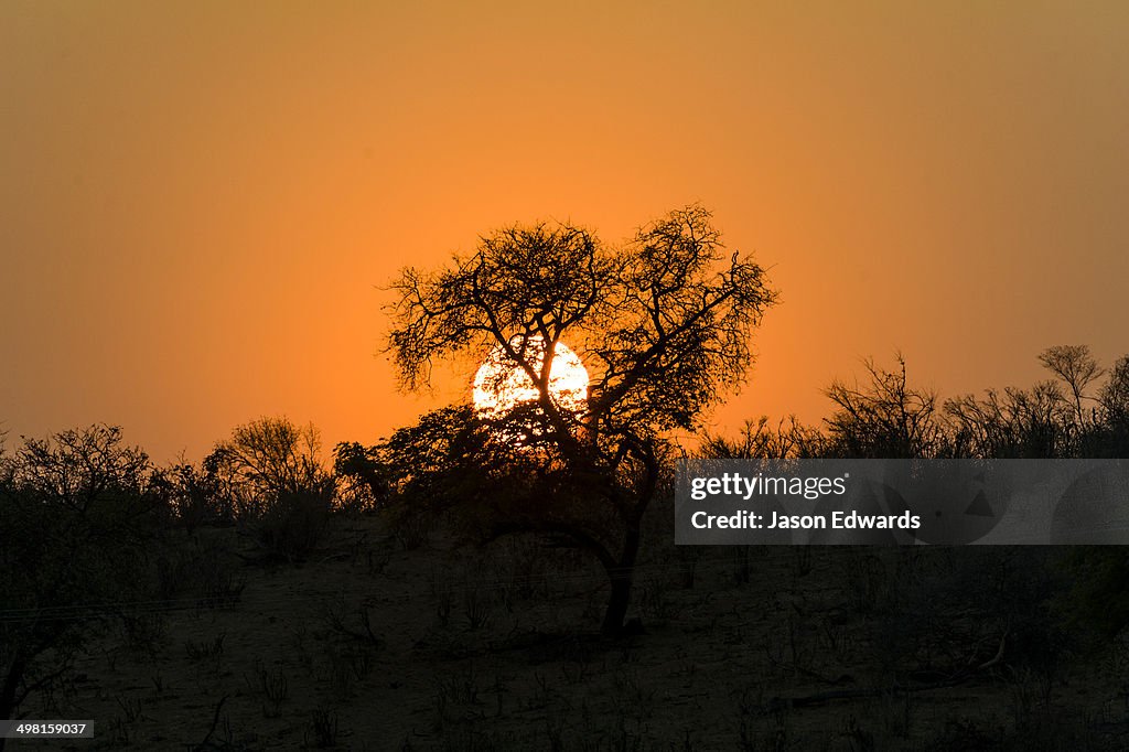 Chobe River, Chobe National Park, Botswana.