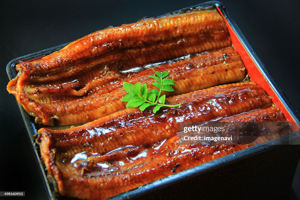 Unaju (Dish with grilled eel and rice)