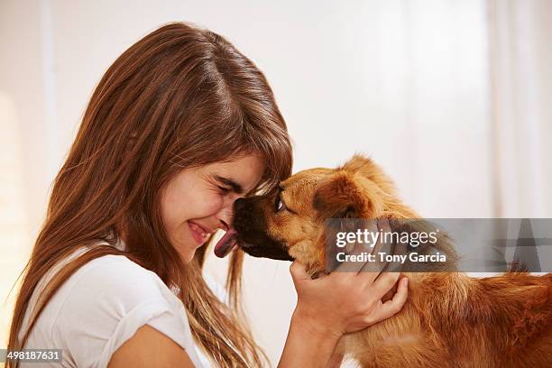 young woman having face licked by pet dog - dog licking face stock-fotos und bilder