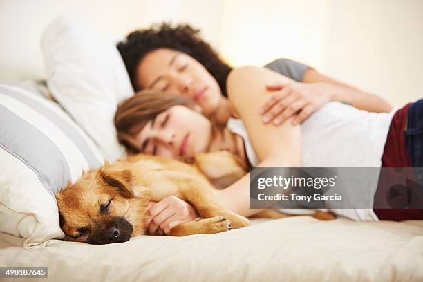 young female couple and pet dog sleeping on bed - romantic young couple sleeping in bed stock pictures, royalty-free photos & images