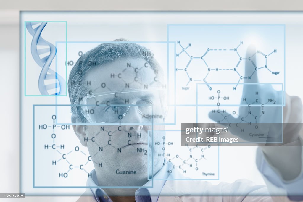 Scientist studying DNA